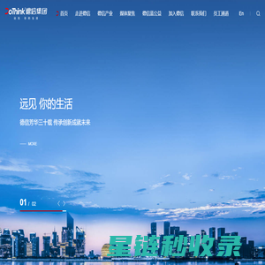 德信控股集团有限公司